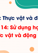 Chủ đề 4 - Bài 14 Sử dụng hợp lý thực vật và động vật
